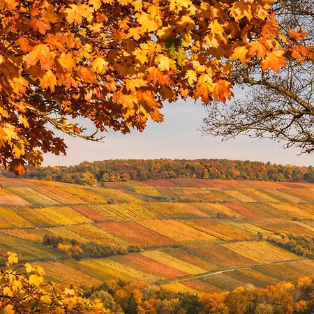 Etzl * Бад-Мергентхайм